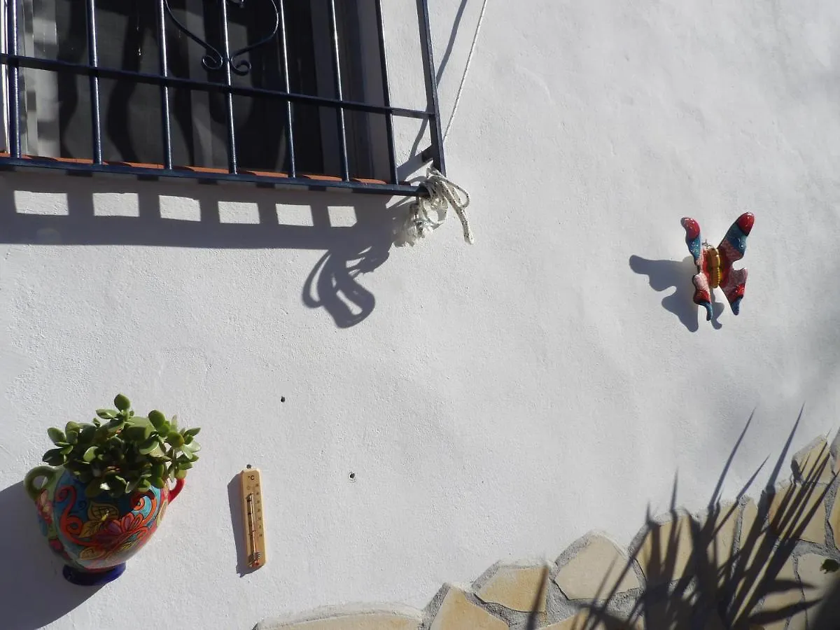Finca Floretta Canillas de Albaida 0*,  España