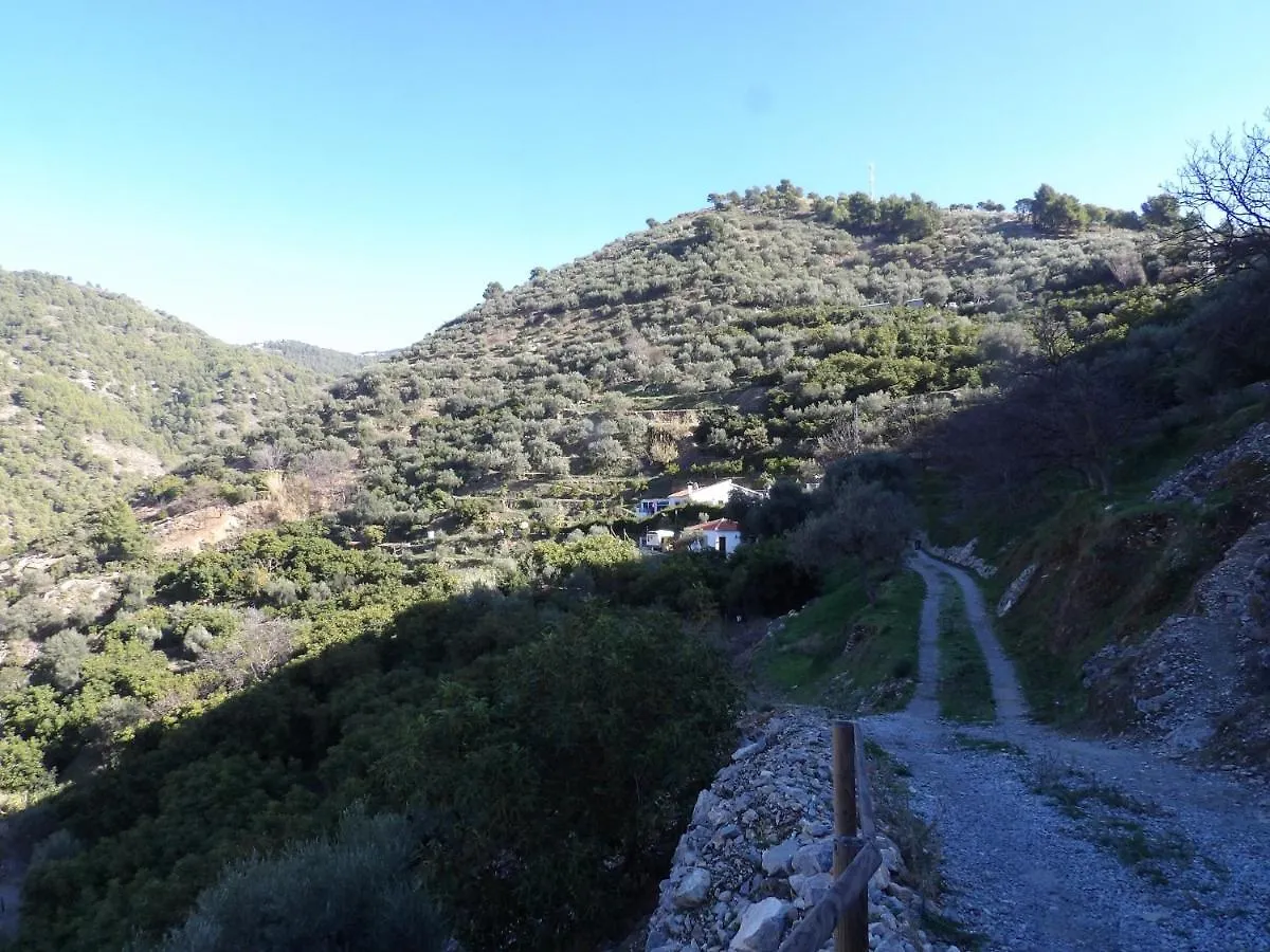 Finca Floretta Canillas de Albaida Villa
