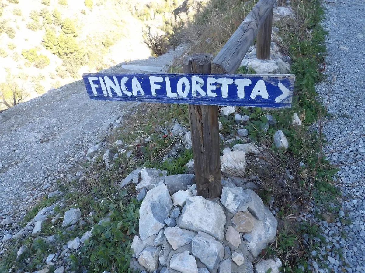 Finca Floretta Canillas de Albaida 0*,
